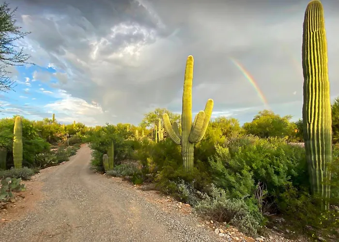 Desert Serenity At Walker Ranch *